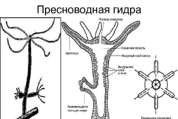 Зеркало кракен