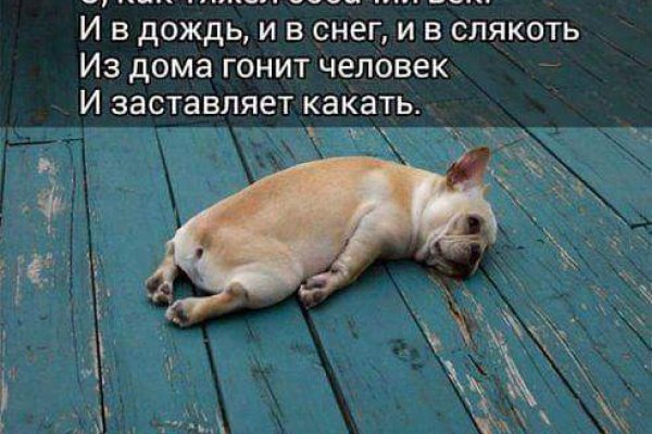Что такое кракен 2024 маркетплейс